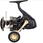 Daiwa BG SW