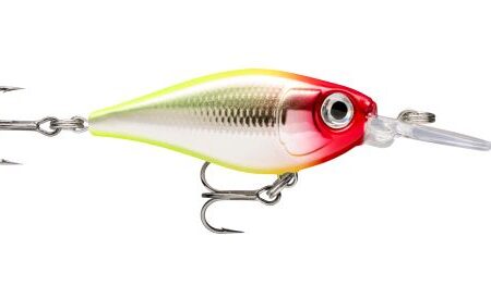 Rapala X-Light Shad