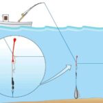 Stonfo Guardian Clip Art. 768