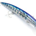 Seaspin Mommotti 160 SF