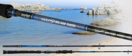 Canna Rapture Gulfstream Bluefish