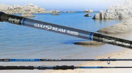 Canna Rapture Gulfstream Bluefish